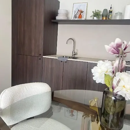 Apartmán Luxury In Berchem-antwer Antverpy
